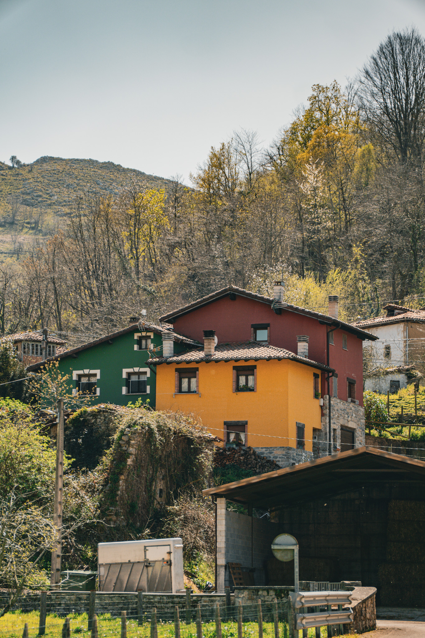 Picos de Europa photo 2